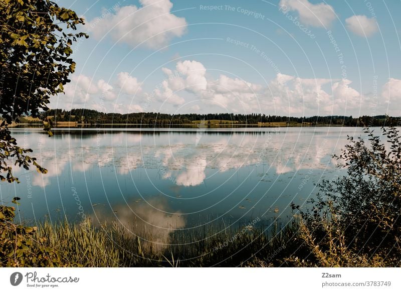 Lake in Allgäu Lakeside Nature Landscape reflection refection Clouds Sky Blue Green Grass Bushes trees wide Wide angle Summer Sun Warmth Mountain Exterior shot