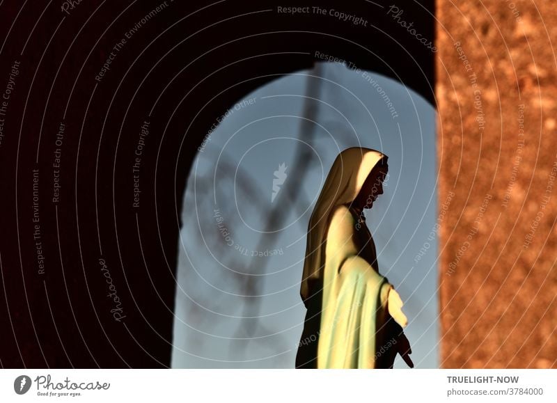 Some sunlight falls into an archway and illuminates the headscarf and robe of a statue of the Holy Mary Mother of God in front of a pale blue sky and shadowy branches in the background