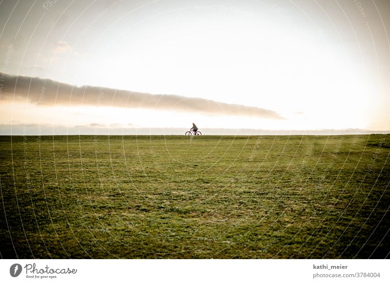 Cyclists in the sunset at the lake Cycling Sunset Lake Lakeside Bicycle bike Sports Athletic Nature Love of nature Environmental protection Eco-friendly