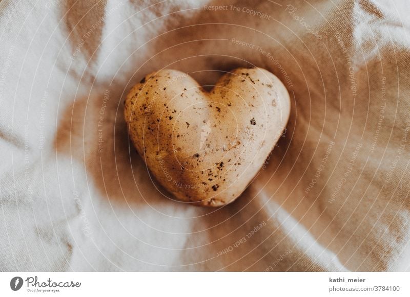 Heart made of potato - on light-coloured fabric Vegetable Healthy Eating Vegetarian diet Food Organic produce Vegan diet Food photograph Organic farming