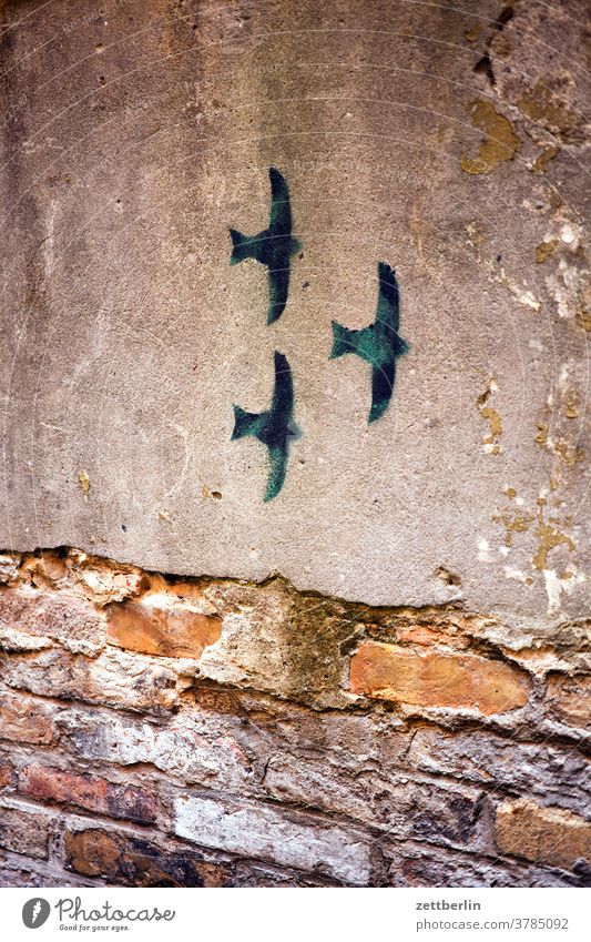 Three painted swallows Old building Bird Art mural painting Drawing illustration on the outside Fire wall Facade Window House (Residential Structure) Sky