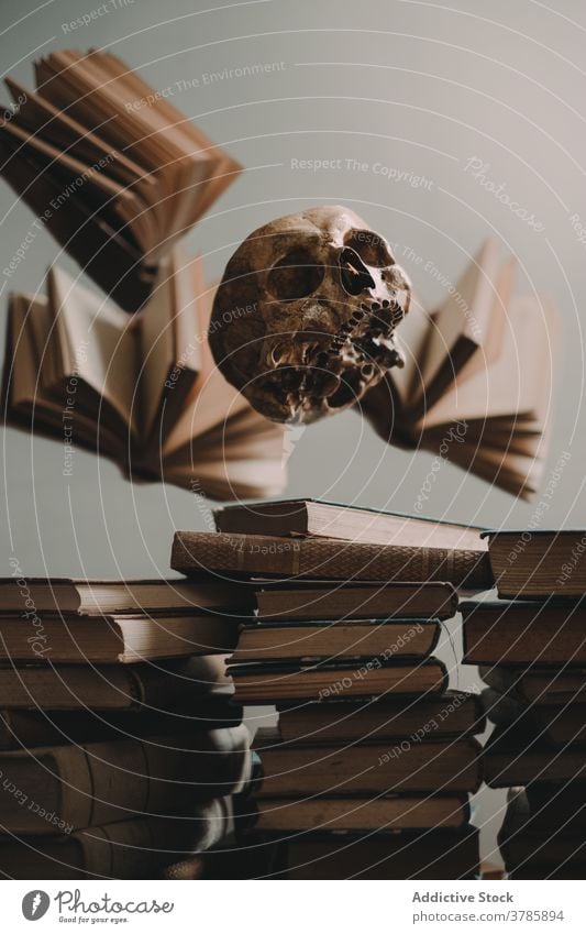 Human skull and stacked books fly levitate old spooky halloween cranium concept knowledge literature vintage antique scary ancient page mystic creepy horror