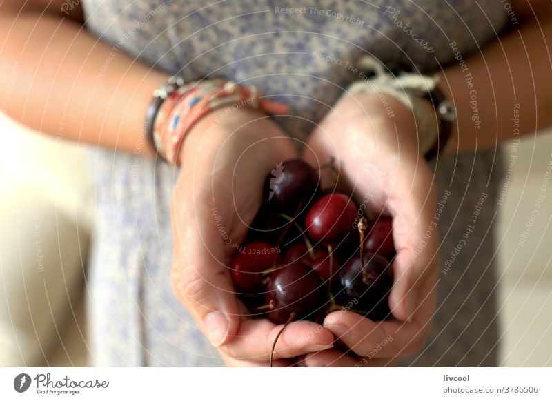 Cherries apple hands metallic apple fruit silver apple woman bracelets offering food eat dress healthy food cherries fresh fruit