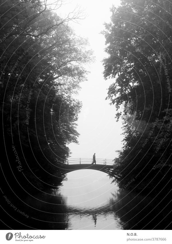 A man walks across a bridge in the fog, black and white Fog Tree Bridge Exterior shot Gray Black Autumn Black & white photo black-and-white