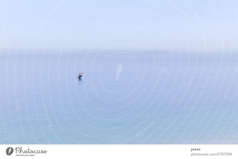 Three boys on a lonely diving tower in the middle of the sea Tide basin Swimming pool be afloat Jump Joie de vivre (Vitality) Ocean Blue far wide Horizon Water