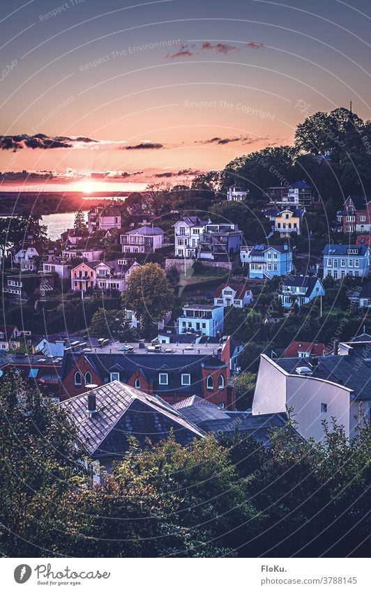 Stair quarter in Blankenese at sunset Hamburg Stair Quarter Building Architecture Sightseeing Tourism Town dwell Sunset Landscape Sunlight Summer Evening