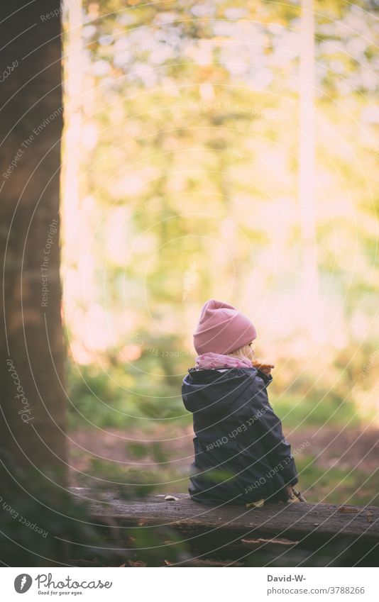 a little girl sits alone on a bench in the woods Autumn Child Girl Sit on one's own Autumnal Cute Forest Observe