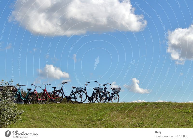 Bicycle parking - many bicycles stand on a path in front of the dunes Wheel Cycling Bicycle lot Exterior shot Meadow Clouds Sky Bushes Island North Sea Islands