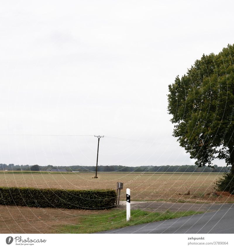 A hedge, a trimmed tree, a field, a power line, and road Landscape Niederrhein Field Hedge Street Tree unspectacular Electricity pylon lowland deep horizon