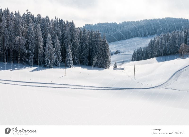 Winter landscape with cross country ski trail Snow Winter sports cross-country skiing Cross-country ski trail Coniferous trees Vantage point Hill Sky Landscape