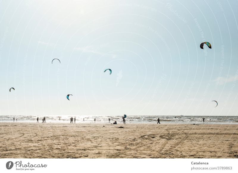 Kiters on a windy day on the beach Beach Ocean coast Surf Waves North Sea Sky Horizon persons Sports vacation Kitesurfing Sandy beach Blue Brown