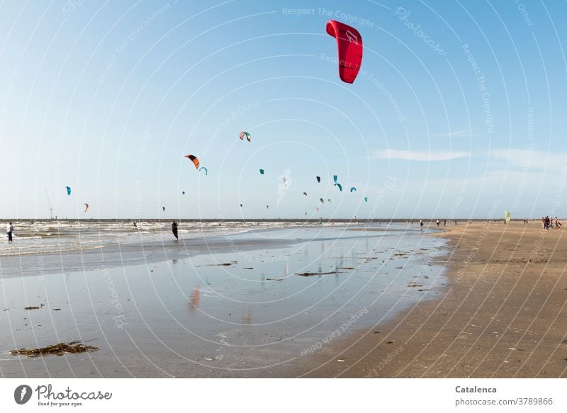 Even more kiters at the stand on a windy afternoon Brown Blue Sand Sandy beach Kitesurfing vacation Sports Kiter persons Horizon Sky North Sea Waves Surf coast