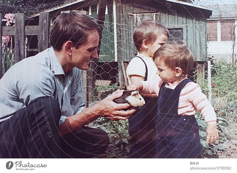 The guinea pig in grandpa's garden. Child Infancy Childhood memory Parenting children Garden Girl Cute Small Human being Playing Joy Happy Toddler Happiness