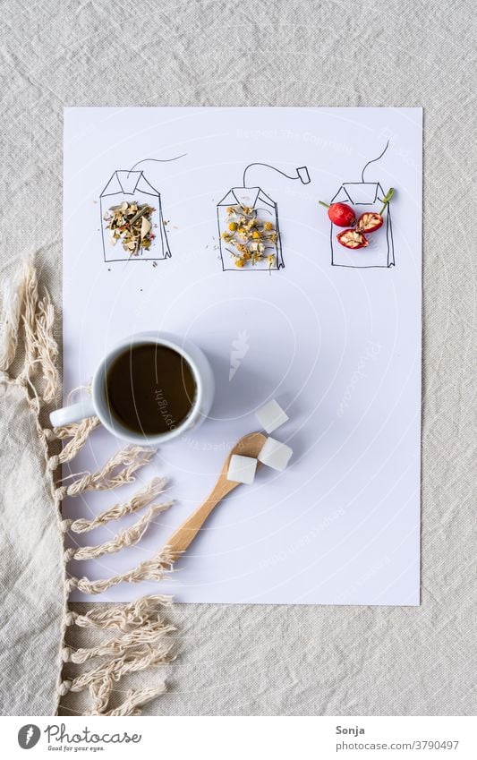 Marked tea bags with fresh herbs and fruits, a cup of tea and a spoon with sugar cubes. Top view. Teabag Earmarked Herbs and spices Dried Herb tea Cup