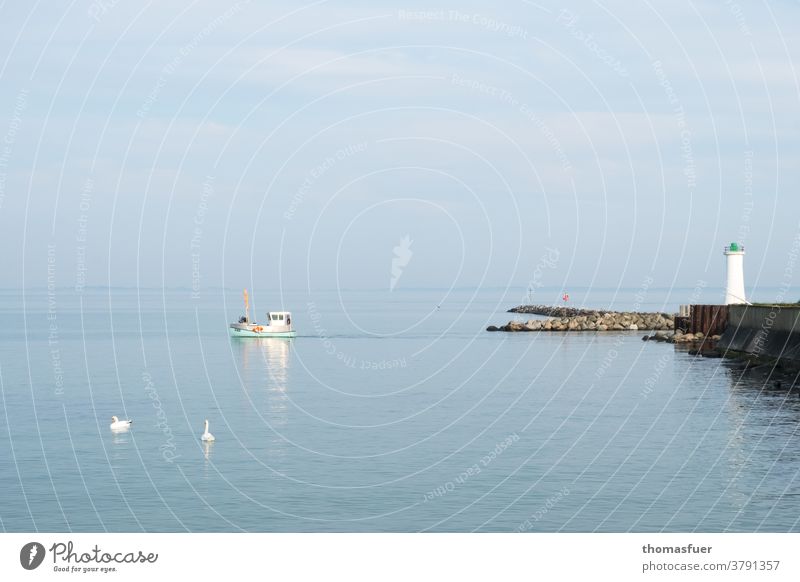 Fishing boat leaves the harbour in calm weather to catch fish. Mole Harbour Lighthouse Calm Summer Horizon Exterior shot Water Sky Clouds Ocean coast Baltic Sea