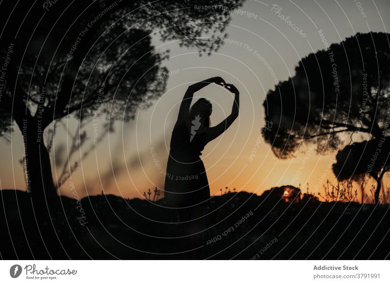 Unrecognizable female ballet dancer in park at sunset ballerina silhouette woman posture grace dark iceland meadow dusk field nature sundown stand freedom