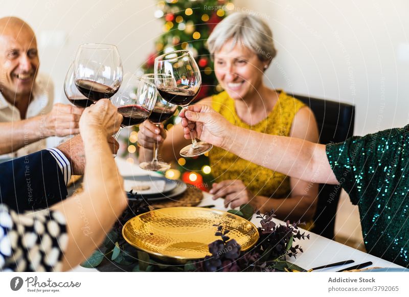 Joyful family members clinking wineglasses during Christmas celebration friend christmas cheers toast joy smile celebrate eve festive gather cheerful alcohol