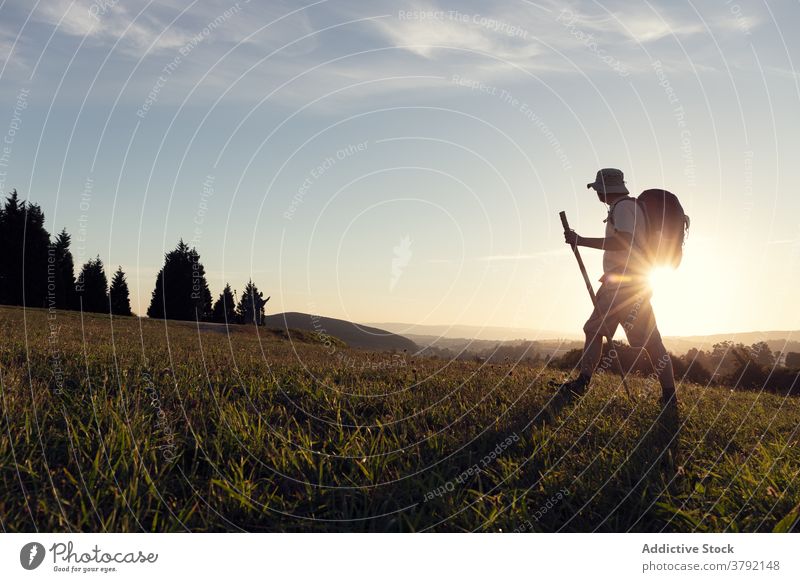 Anonymous hiker with backpack and stick walking on grass hill pilgrim sunshine travel trekking rucksack cloudy sky tourist evening santiago de compostela