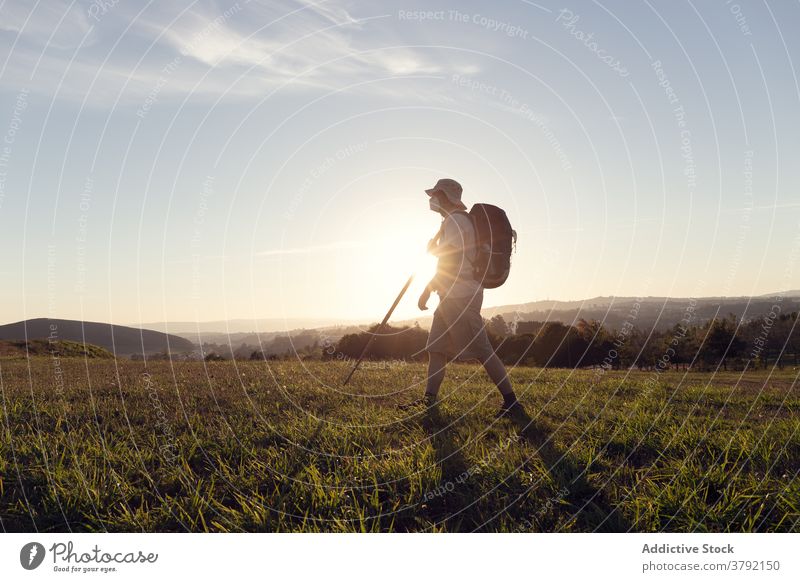 Anonymous hiker with backpack and stick walking on grass hill pilgrim sunshine travel trekking rucksack cloudy sky tourist evening santiago de compostela