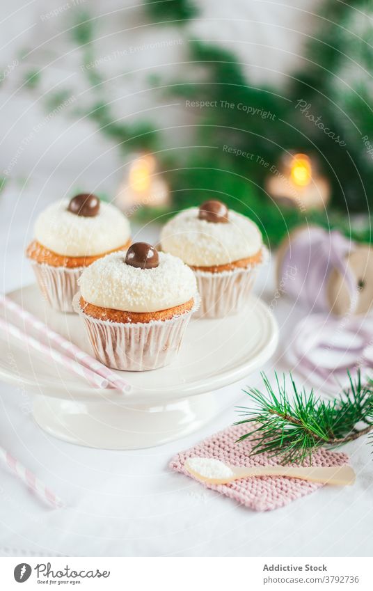 Sweet cupcakes with chocolate balls on table sweet dessert christmas treat coconut flake tasty event tradition party sugar holiday celebrate decoration winter