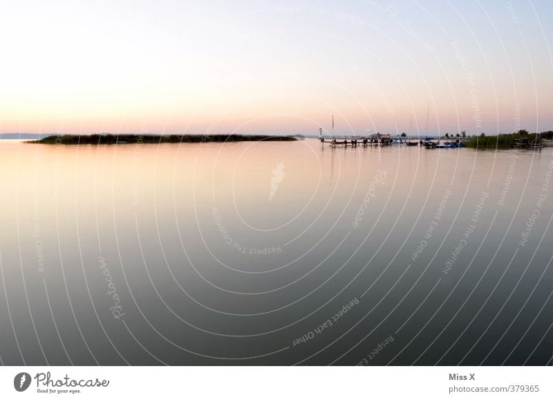 Silent lake Relaxation Calm Vacation & Travel Far-off places Freedom Summer vacation Nature Landscape Coast Lakeside Moody Water Jetty Footbridge Common Reed