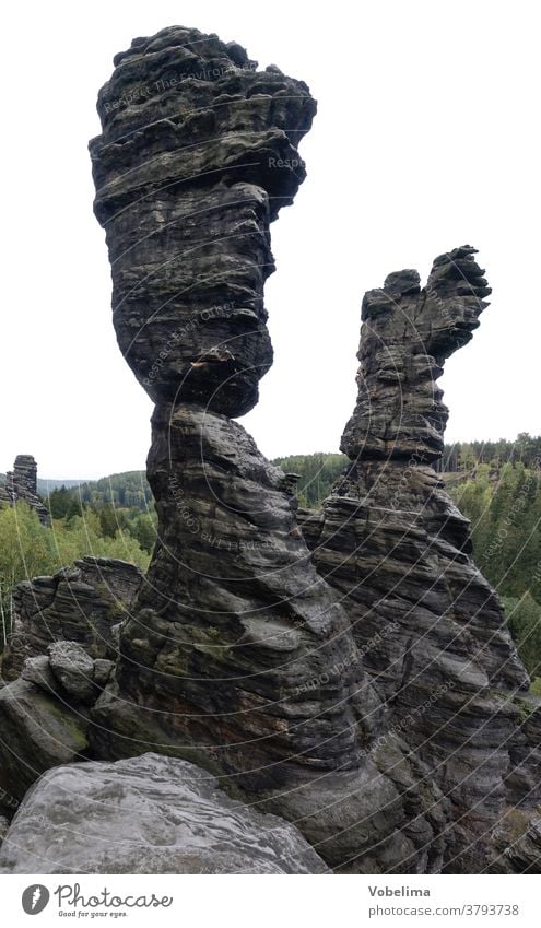 Columns of Hercules in the Bielatal, Saxony hercules columns of Hercules rosenthal-bielathal saechische switzerland Elbsandstone mountains Elbsandstein region