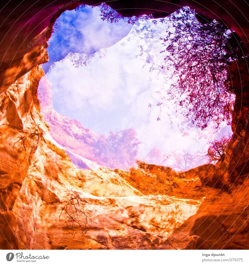 Perforated Environment Nature Landscape Plant Elements Earth Sky Tree Rock Canyon Cave Level Depth of field Hollow Large Dry Fear Fear of heights Adventure