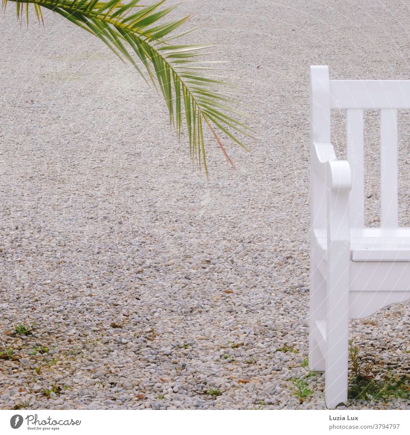 A little time out: palm fronds and half a free bench in the park time-out Palm frond Bench Gravel Park Green Light Lanes & trails Exterior shot Deserted