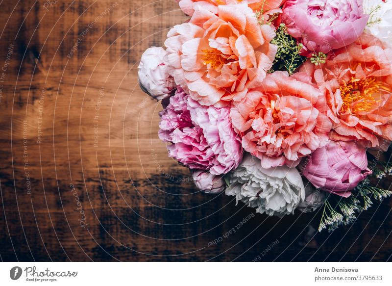 Amazing Fresh bunch of pink peonies peony coral flower cerise bouquet pastel floral petals wallpaper card postcard spring love summer holidays romantic garden