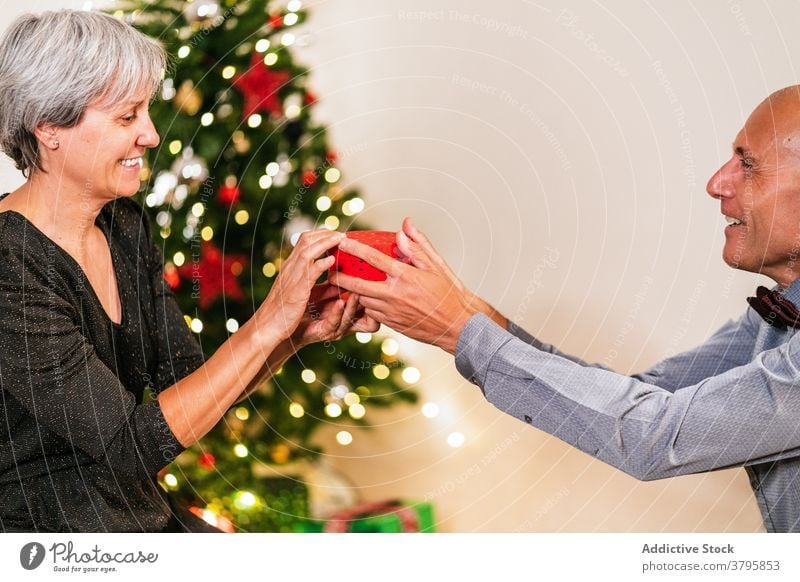 Smiling couple exchanging gifts on Christmas exchange give christmas present tree box greeting congratulate mature cheerful holiday celebrate winter smile merry