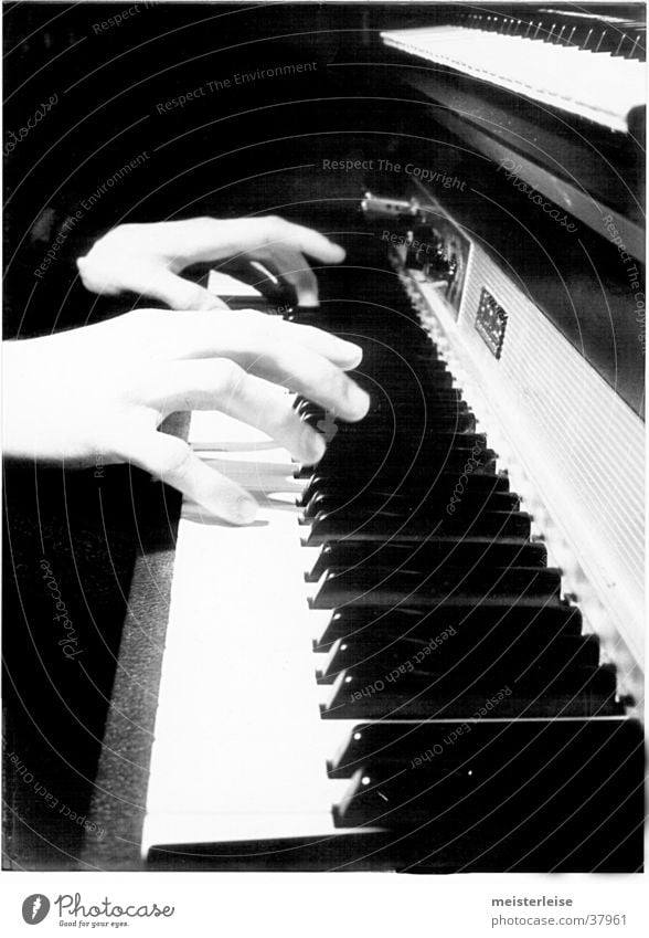 Fender Rhodes 01 Piano E-piano Hand Make music Leisure and hobbies Music Keyboard Touch Musical instrument Black & white photo