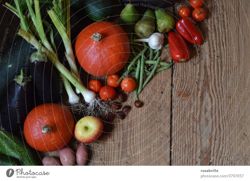 Land of plenty | for vegetable lovers Vegetable Autumn Autumnal Harvest thanksgiving Thanksgiving Free space open space fruit Fruit&Vegetables boil Kitchen Wood