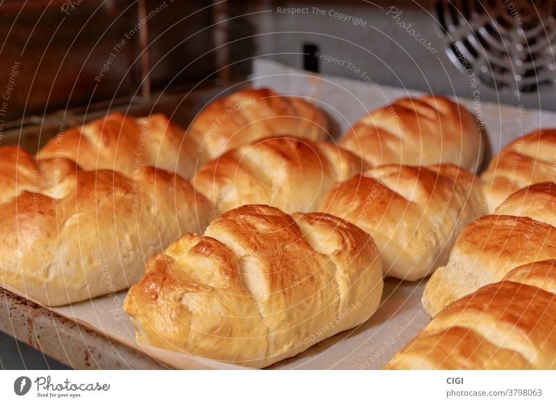 Bread of Milk being baked on a baking tray in the traditional style bread food milk bakery healthy breakfast wheat loaf bun pastry background white organic