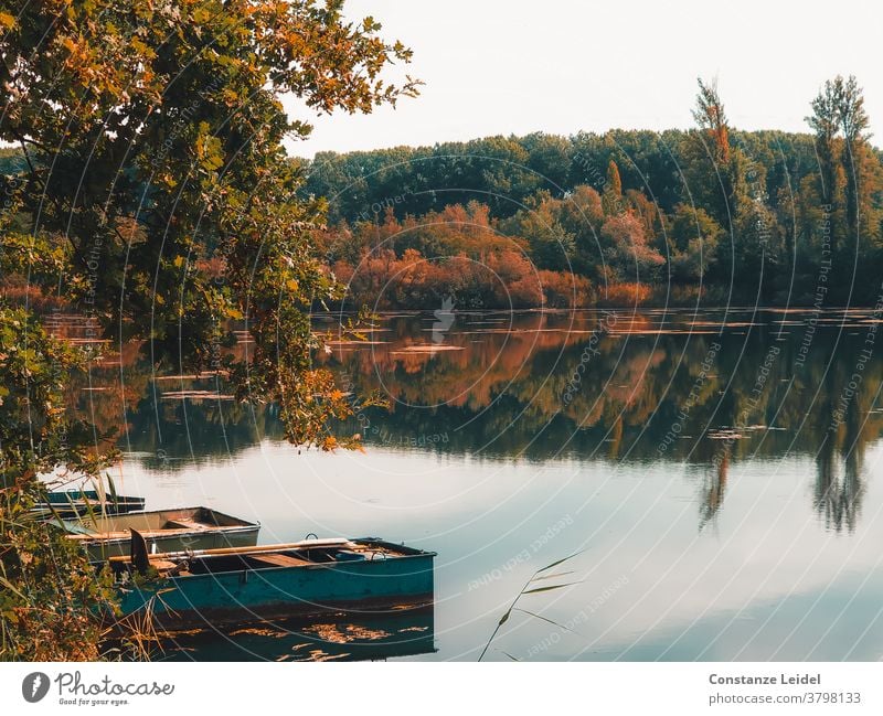 Reflection of trees in the autumnal lake with small, old boats. Autumn autumnally discoloured Lake Lakeside Reflection in the water wooden boat Fishing boat