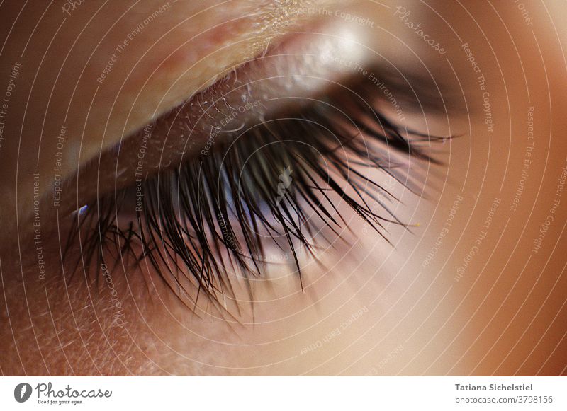 close-up side view half-open eye with clearly visible eyelashes Eyes Eyelash blurred macro