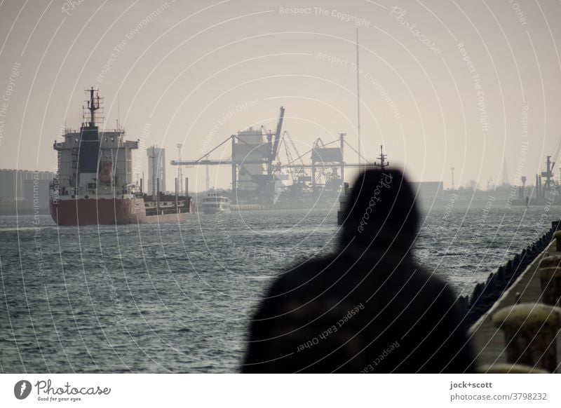 safe haven In turbulent times Silhouette Harbour Winter Sky Warnemuende Transport Crane Dockside crane Jetty Baltic Sea Bollard Container ship Logistics hazy