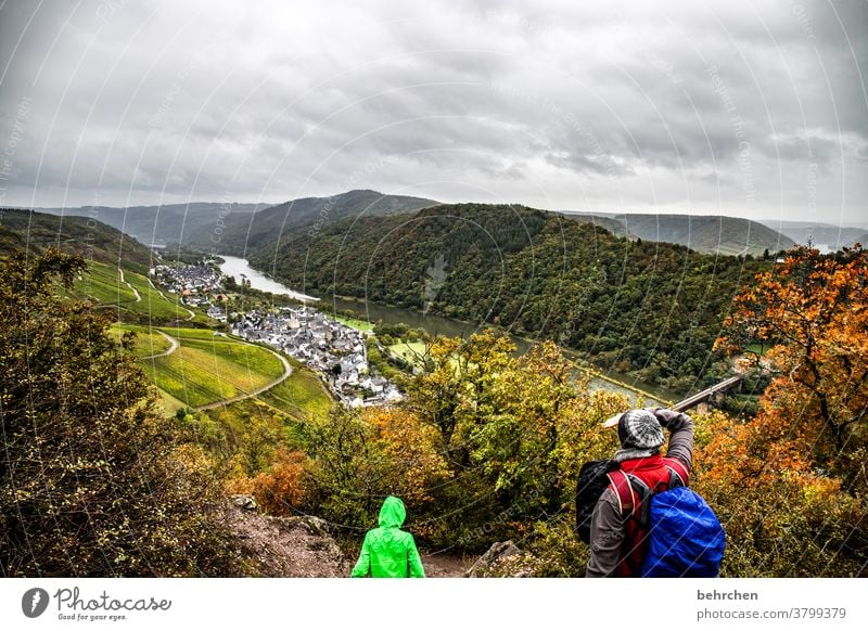 Hiking in autumn Town Forest Vacation & Travel Nature Exterior shot Environment Clouds Sky Landscape Colour photo Mountain Tourism Trip Far-off places Freedom