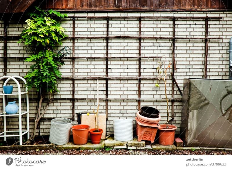 gazebo Relaxation holidays Garden allotment Garden allotments Deserted Nature Plant tranquillity Garden plot Copy Space Meadow tepid Arbour Pot Flowerpot