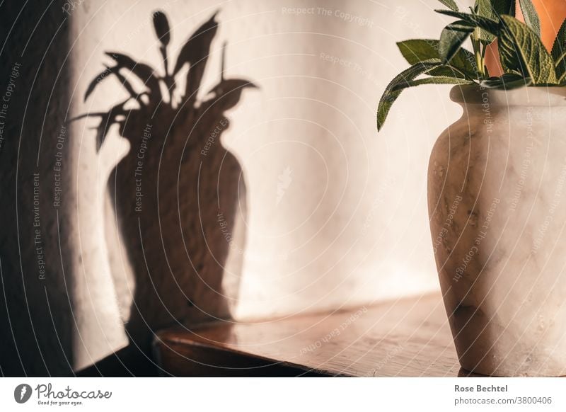 Marble vase with sage leaves Still Life Vase Shadow Sage Colour photo Deserted Interior shot Bouquet Style Decoration Lifestyle Living or residing Living room