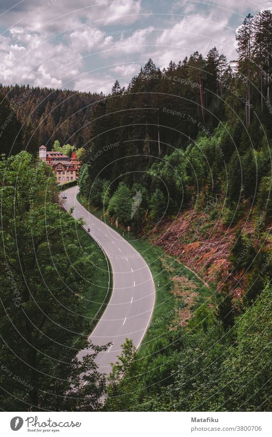 A road meanders through the forest in the Black Forest Street Nature Landscape Transport routes Colour photo From ones downstairs mood Exterior shot trees