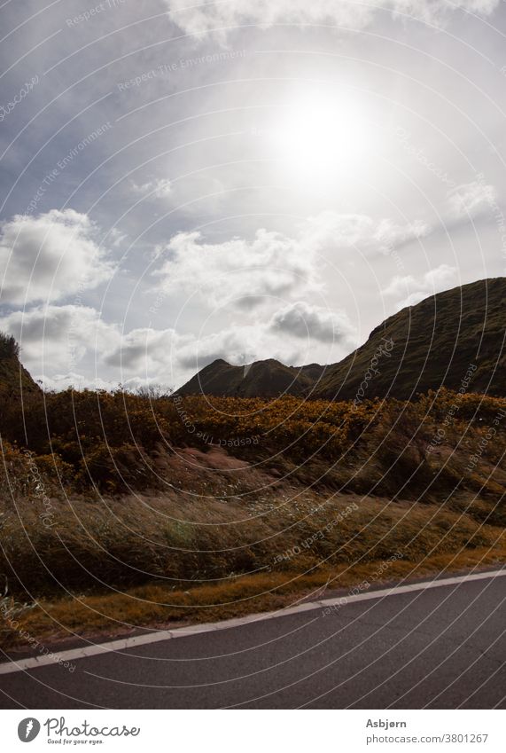 Road Trip outdoors travel road wind brown warm nature sky Landscape nobody trip grass hills mountains composition