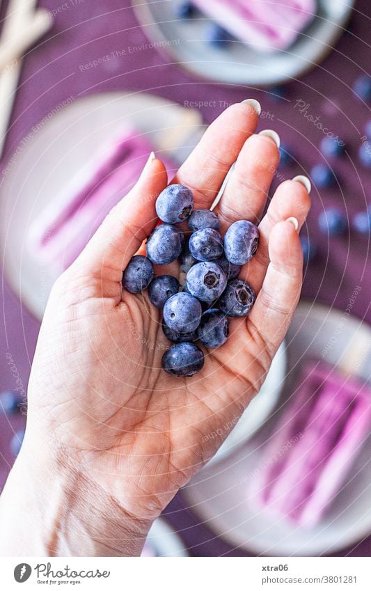 blueberries Blueberry Berries Hand Ice ice on a stick Fruit Food Food photograph Refreshment Healthy Eating Delicious luscious fruit Colour photo Fresh