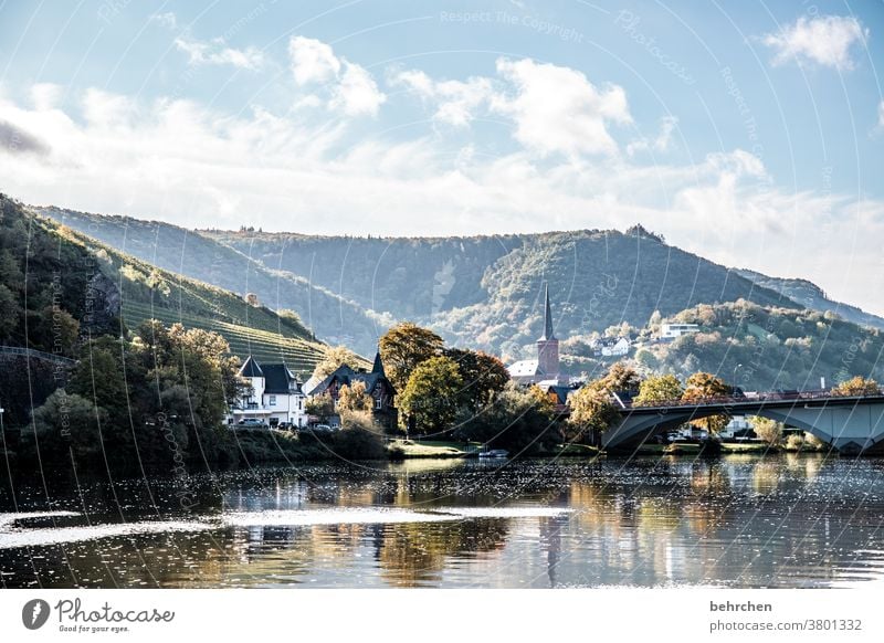 fairy tale mosel | mosel fairy tale Water reflection Sunlight Seasons Autumnal Hunsrück Rhineland-Palatinate River bank Mosel (wine-growing area) Moselle valley