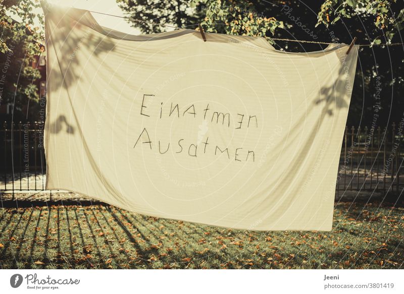 "Breathing in" on a sheet by the clothesline Inhalation exhale Breathe Air Breathe in Corona Pandemic Life Sun Shadow Back-light Light Visual spectacle Sheet