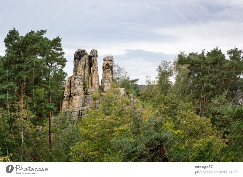 View from the Klus rock to the Fünf Finger rock in the Klus near Halberstadt outlook viewing direction Sandstone sandstone rocks Rock formation