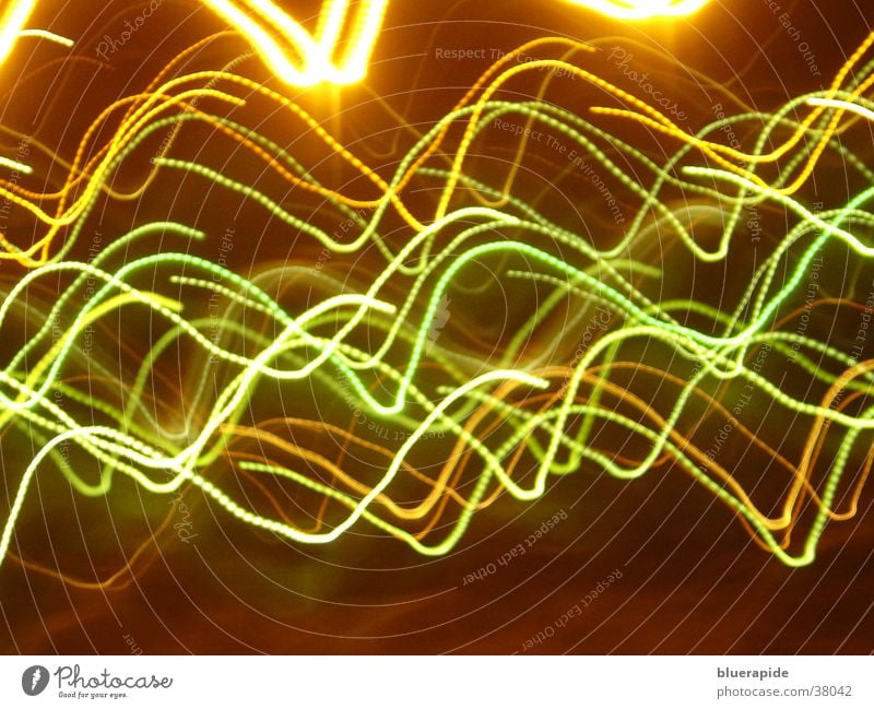 light show Light Long exposure Bright Multicoloured Curve Wild animal Movement