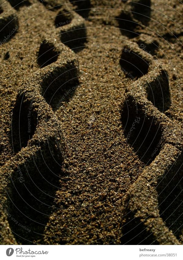 sand waves Brown Beach Skid marks Wall (barrier) Zigzag Macro (Extreme close-up) Close-up Sand sand tracks