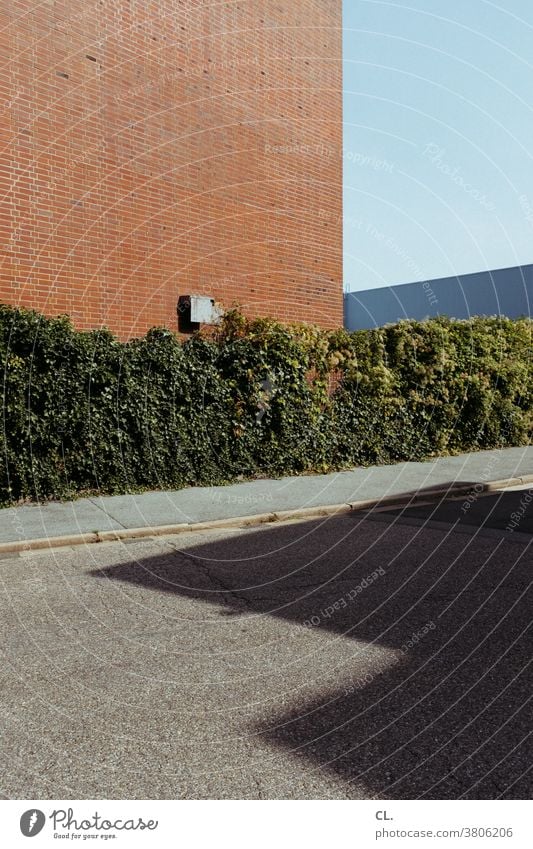 corner with hedge Corner Hedge Abstract Wall (building) off Street Sky Building Part of a building Architecture Structures and shapes Exterior shot Deserted