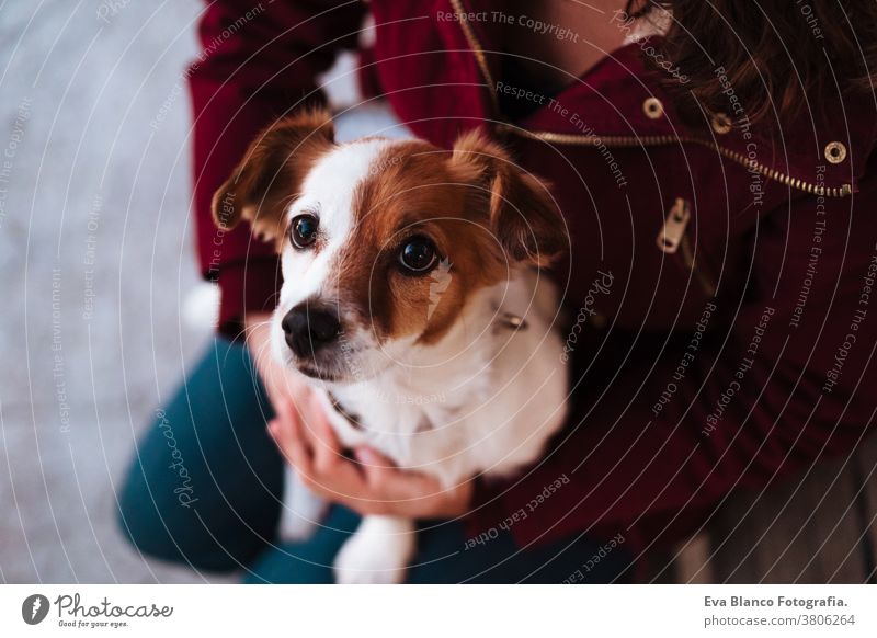 top view of cute dog sitting on lap of owner, lifestyle outdoors adorable autumn bench brick wall casual clothing caucasian cheerful city coat cold collar