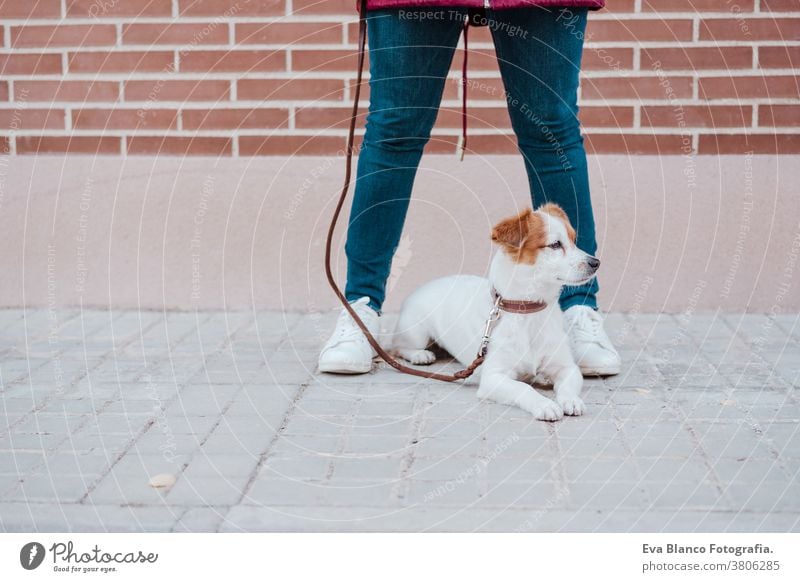 woman at the city with her adorable jack russell dog. Lifestyle outdoors autumn brick wall bulldog casual clothing caucasian cheerful coat cold collar cute